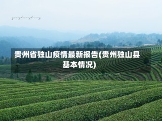 贵州省独山疫情最新报告(贵州独山县基本情况)