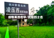疫情英烈名字/抗疫烈士名字