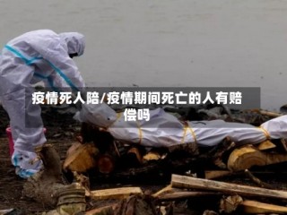 疫情死人陪/疫情期间死亡的人有赔偿吗