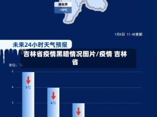 吉林省疫情黑暗情况图片/疫情 吉林省