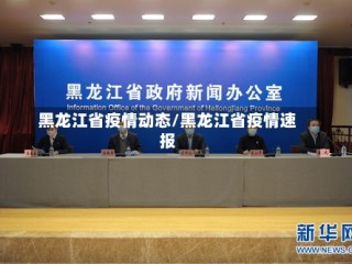 黑龙江省疫情动态/黑龙江省疫情速报