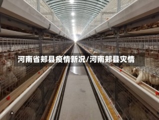 河南省郏县疫情新况/河南郏县灾情