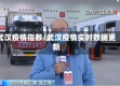 武汉疫情指数/武汉疫情实时数据更新