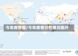 今年疫情图/今年疫情分布情况图片
