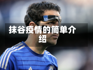 抹谷疫情的简单介绍