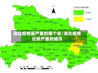 湖北疫情最严重的哪个省/湖北疫情比较严重的城市
