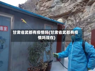 甘肃省武都有疫情吗(甘肃省武都有疫情吗现在)