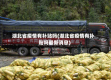 湖北省疫情有补贴吗(湖北省疫情有补贴吗最新消息)