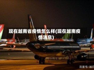 现在越南省疫情怎么样(现在越南疫情消息)