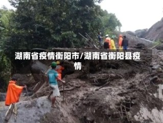 湖南省疫情衡阳市/湖南省衡阳县疫情