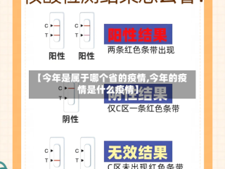 【今年是属于哪个省的疫情,今年的疫情是什么疫情】