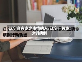 辽宁省有多少疫情病人/辽宁一共多少例病例