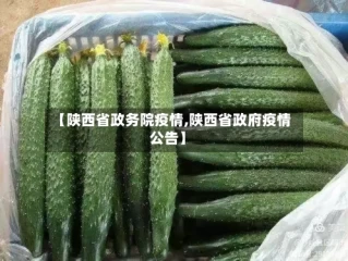 【陕西省政务院疫情,陕西省政府疫情公告】
