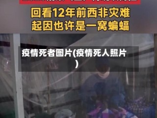 疫情死者图片(疫情死人照片)