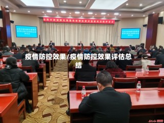 疫情防控效果/疫情防控效果评估总结