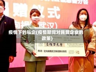 疫情下的私企(疫情期间对民营企业的政策)