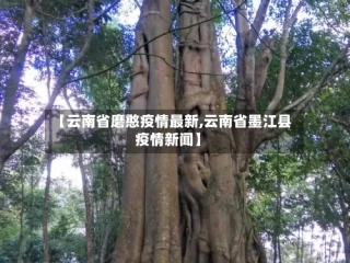 【云南省磨憨疫情最新,云南省墨江县疫情新闻】