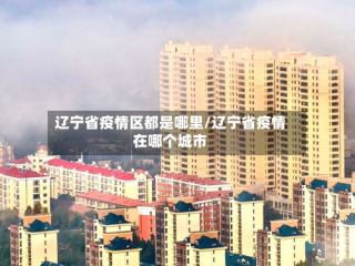 辽宁省疫情区都是哪里/辽宁省疫情在哪个城市