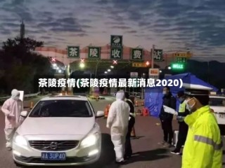 茶陵疫情(茶陵疫情最新消息2020)