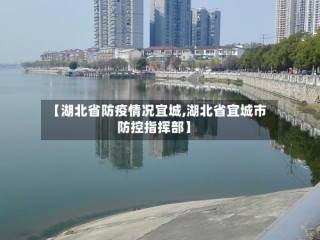 【湖北省防疫情况宜城,湖北省宜城市防控指挥部】