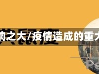 疫情影响之大/疫情造成的重大影响