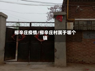 柳辛庄疫情/柳辛庄村属于哪个镇