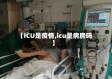 【ICU是疫情,icu是病房吗】