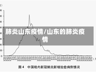肺炎山东疫情/山东的肺炎疫情