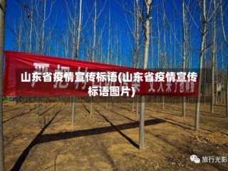 山东省疫情宣传标语(山东省疫情宣传标语图片)