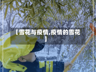 【雪花与疫情,疫情的雪花】