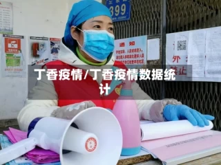 丁香疫情/丁香疫情数据统计
