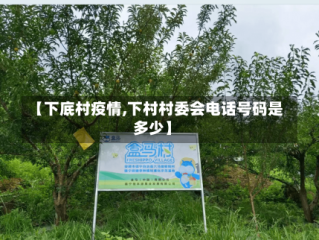 【下底村疫情,下村村委会电话号码是多少】