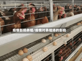 疫情影响养殖/疫情对养殖场的影响