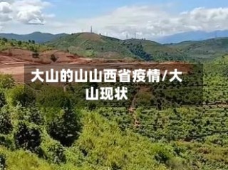 大山的山山西省疫情/大山现状