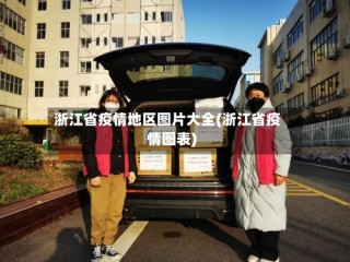 浙江省疫情地区图片大全(浙江省疫情图表)