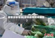 疫情吉林专场(吉林疫情视频播放)