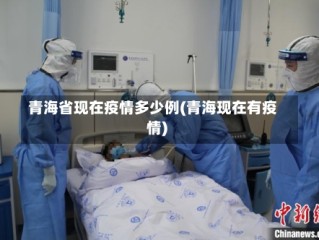青海省现在疫情多少例(青海现在有疫情)