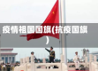 疫情祖国国旗(抗疫国旗)