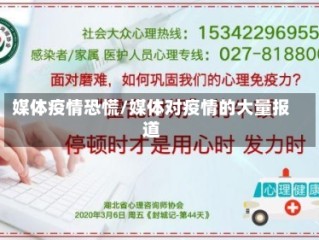 媒体疫情恐慌/媒体对疫情的大量报道