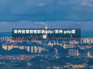 贵州省受疫情影响gdp/贵州 gdp增速