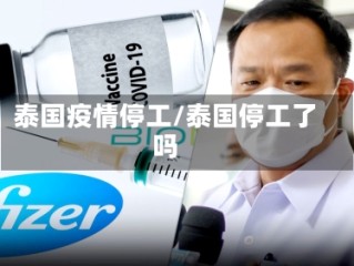 泰国疫情停工/泰国停工了吗