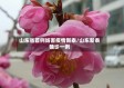 山东省首例妨害疫情新泰/山东新泰确诊一例