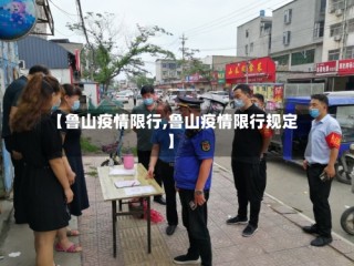 【鲁山疫情限行,鲁山疫情限行规定】