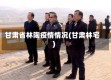 甘肃省林陶疫情情况(甘肃林宅)