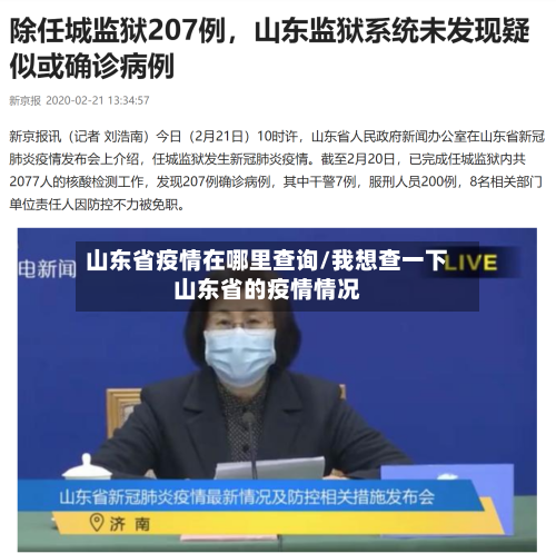 山东省疫情在哪里查询/我想查一下山东省的疫情情况-第1张图片