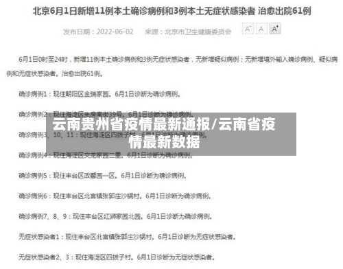 云南贵州省疫情最新通报/云南省疫情最新数据-第3张图片