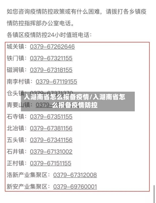 入湖南省怎么报备疫情/入湖南省怎么报备疫情防控-第3张图片