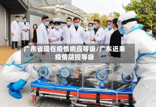 广东省现在疫情响应等级/广东近来疫情防控等级-第1张图片