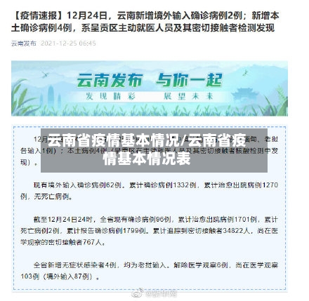 云南省疫情基本情况/云南省疫情基本情况表-第1张图片