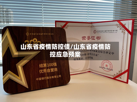 山东省疫情防控债/山东省疫情防控应急预案-第3张图片